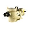 EMAUX Swimming Pool Pump